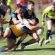 2024 Peter Mulholland Schoolboy Cup action Photo's Patrician Brother Catholic College Blacktown vs All Saints College Maitland (Photo - Steve Montgomery)