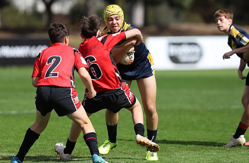 NSWCHS Buckley Shield ENDEAVOUR vs WESTFIELDS