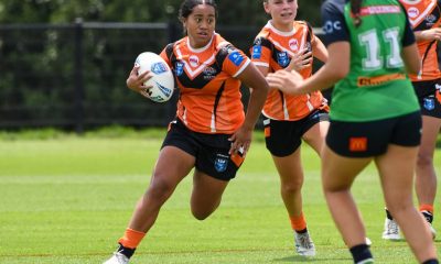 2025 NSWRL Tarsha Gale Cup Round 9 draw (Photo : Weststigers)