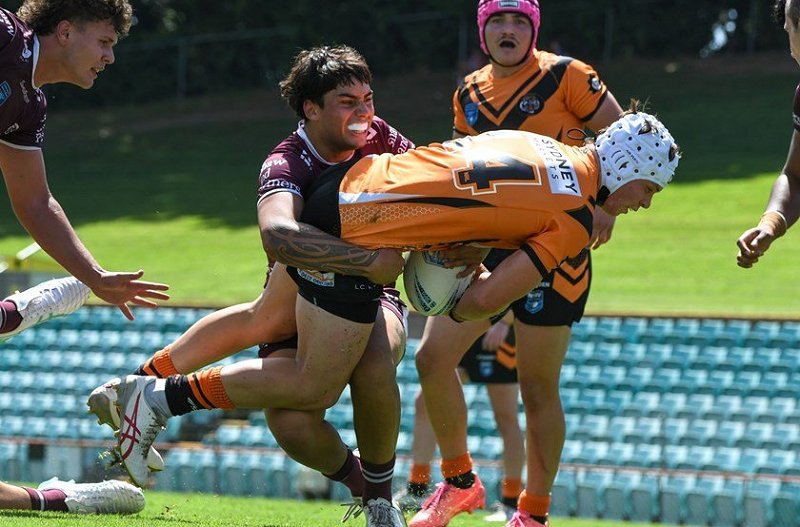 2025 NSWRL Harold Matthews Cup round 4 draw (Photo : Weststigers)