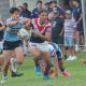 NSWRL Harold Matthews Cup Round 7 Draw, results, ladder & top try scorers (Photo : Wayne Leong)