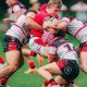 Dragons Pathways Wrap Round 7 (Photo : dragons.com.au)
