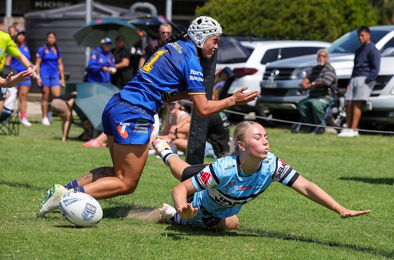 2025 NSWRL Tarsha Gale Cup Round 6, Tarsha Gale Results, Tarsha Gale Ladder, Tarsha Gale Cup top try scorers (Photo : Cronulla Sharks)