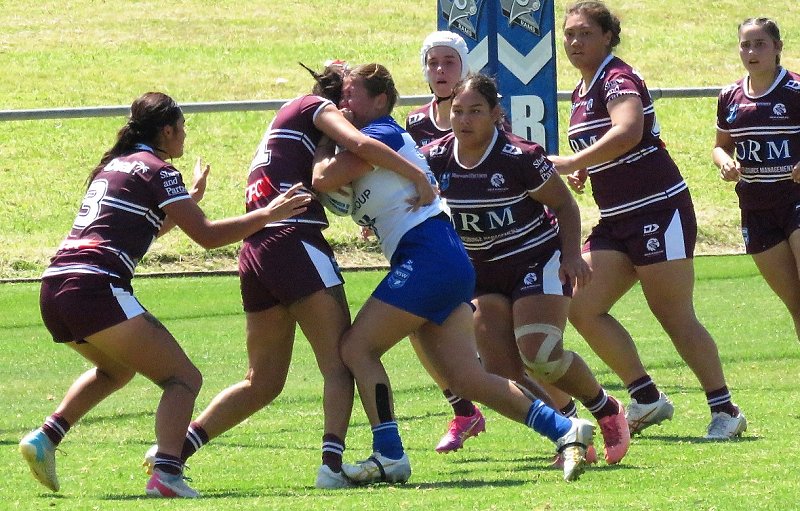 2025 NSWRL Tarsha Gale Cup rnd 8 draw (Photo : Rodders Photos)