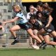 Jamie Chapman playing for the Sharks Tarsha Gale Cup (Photo - Steve Montgomery)