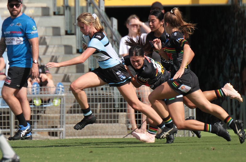 Jamie Chapman playing for the Sharks Tarsha Gale Cup (Photo - Steve Montgomery)